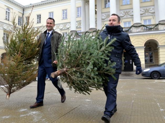 Warszawa: Rozpoczęła się zbiórka choinek